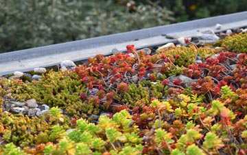 the cost of Tremore green roof installation