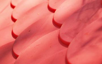 Tremore plastic roof costs